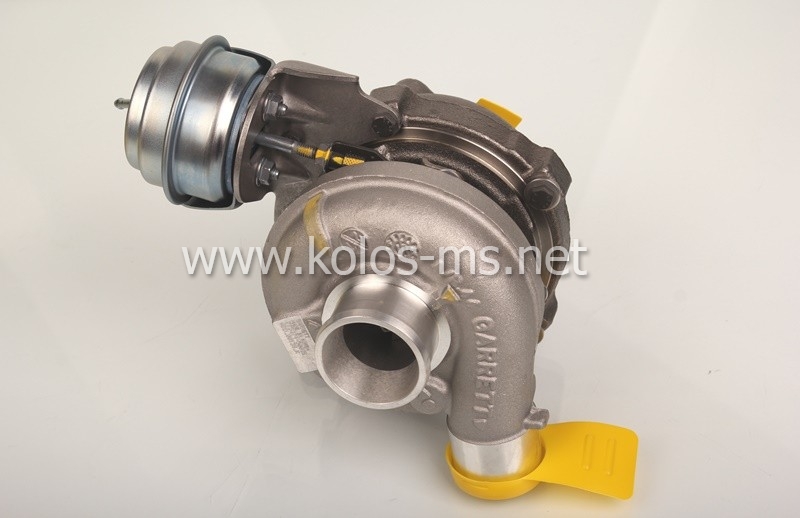 カリー 2010-11 Gold Standard Insert kobe / Rose Lot Detail - Kobe